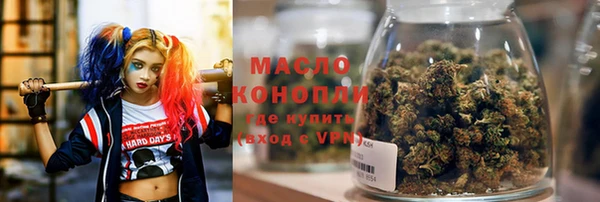 сатива Вяземский
