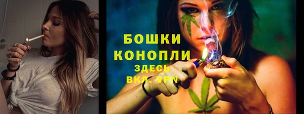 сатива Вяземский