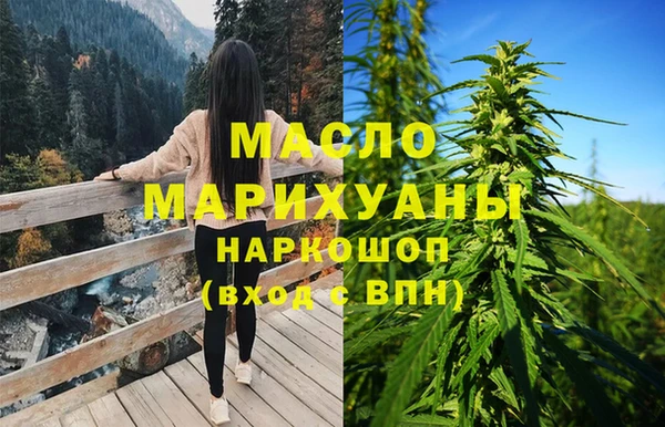 сатива Вяземский