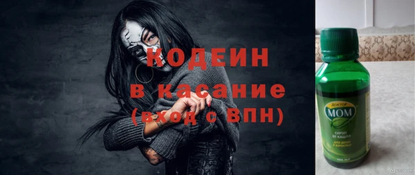 сатива Вяземский