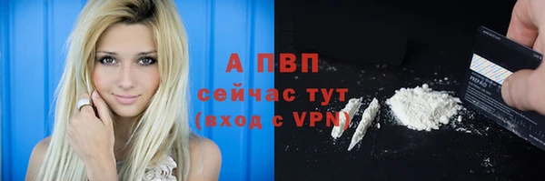 apvp Вязники