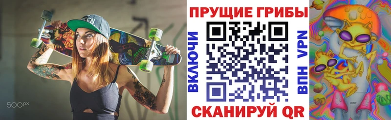 купить   Эртиль  ссылка на мегу ONION  Галлюциногенные грибы Magic Shrooms 
